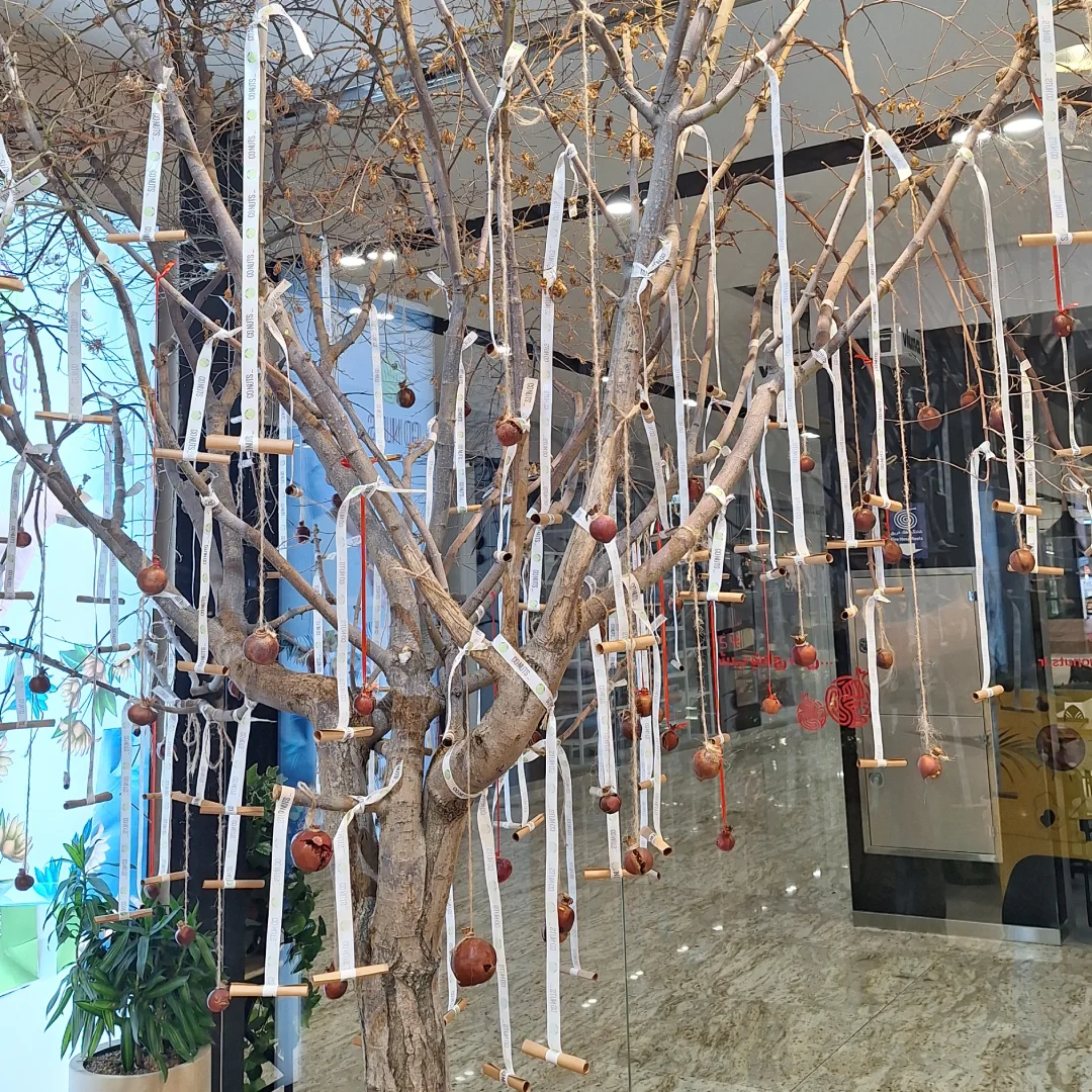 بادکنک و گل آرایی تمشک در پونک