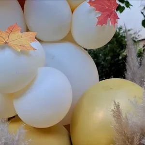 تم تولد پاییزی