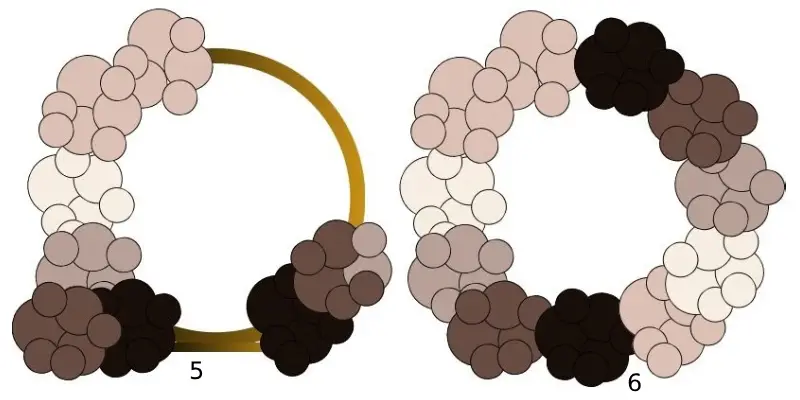 مدل حلقه ای
